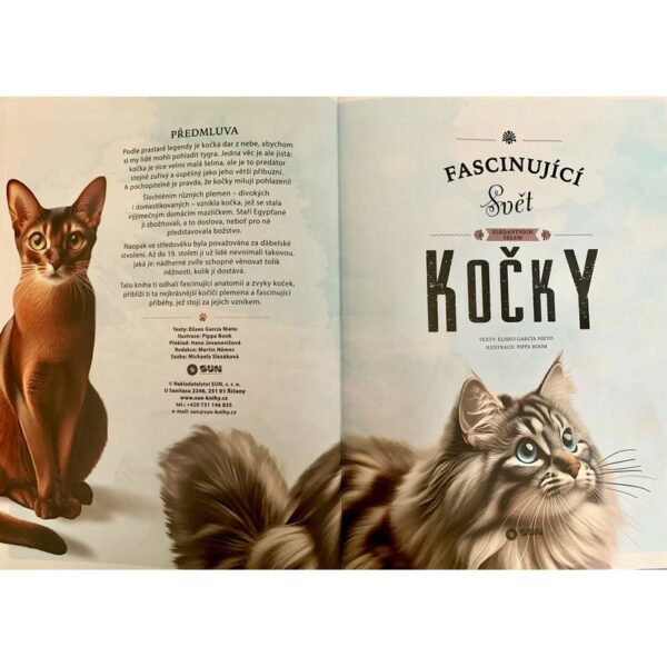 Fascinující svět elegantních šelem - KOČKY - Image 3